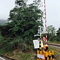 一枝杉鐵路平交道