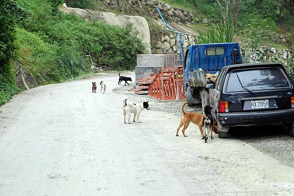 原鐵道路線改建成工程便道