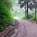 舊鐵道沿線風景