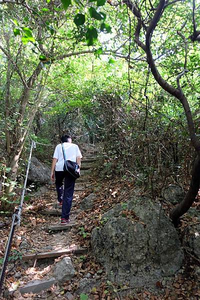 Ａ線登山步道一景