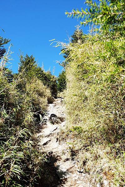 即將登頂玉山前峰