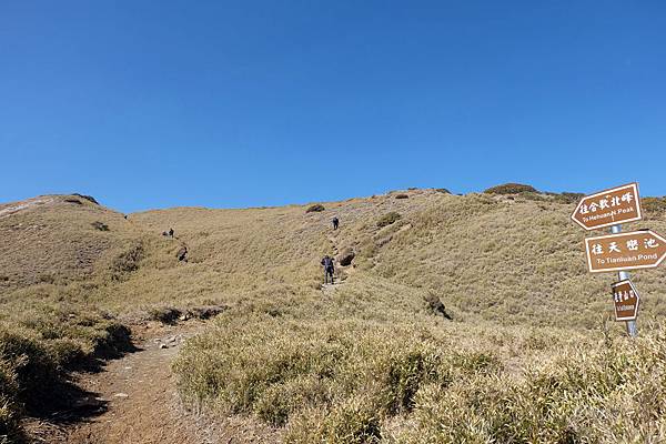 2.0K往合歡北峰山頂