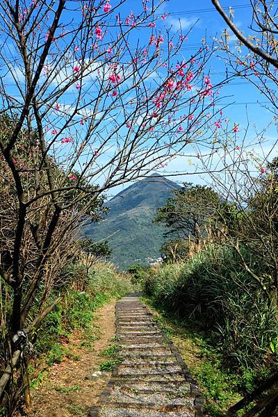 小粗坑古道風情畫