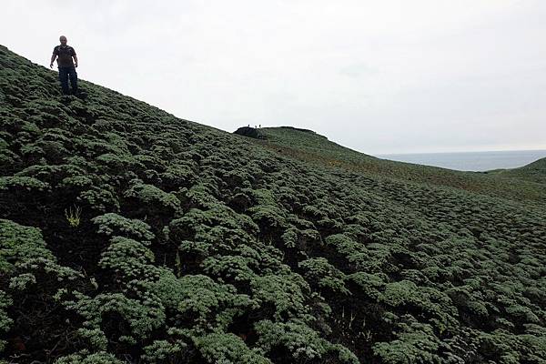 順海芙蓉坡而下