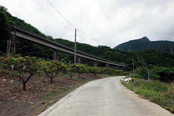 南迴鐵道飛越芒果園