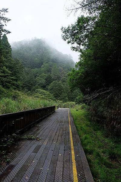 簡潔清幽的深山秘境車站