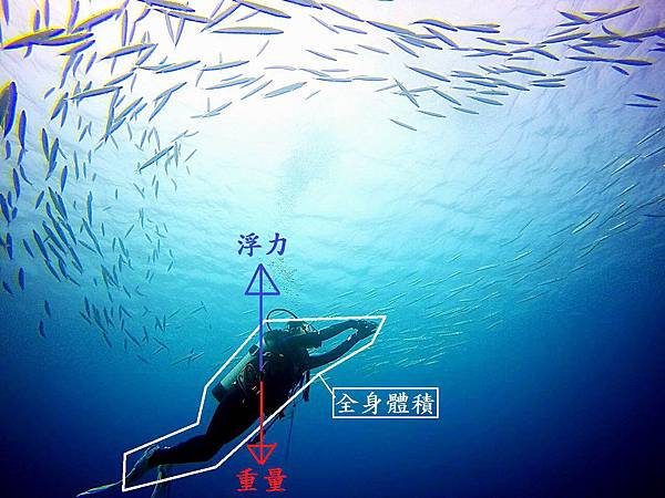 潛水中的浮力 潛水中的浮力