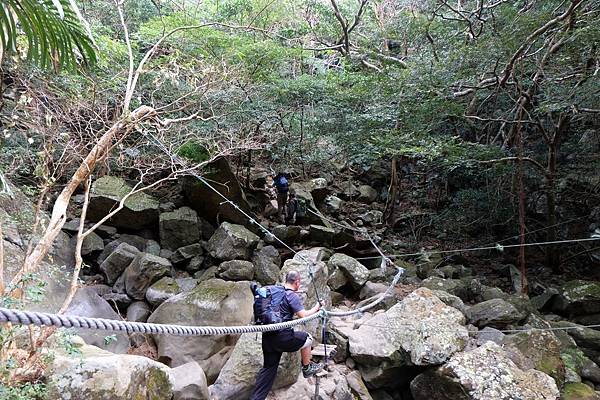 跨越苦苓溪河床