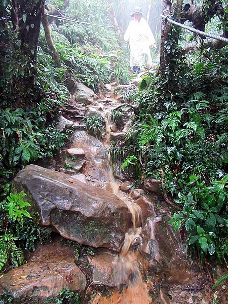 雨中攻頂之路