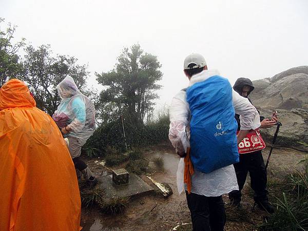 里龍山山頂腹地