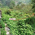 石板屋茅坑旁往旗鹽主山方向