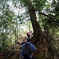 唐麻丹山登山步道