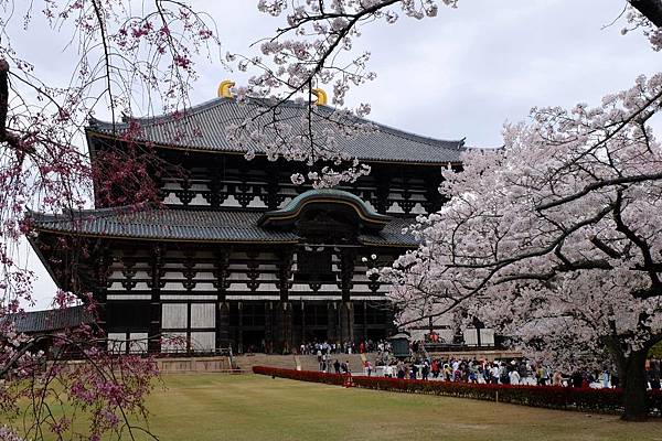 奈良漫遊東大寺 奈良漫遊東大寺