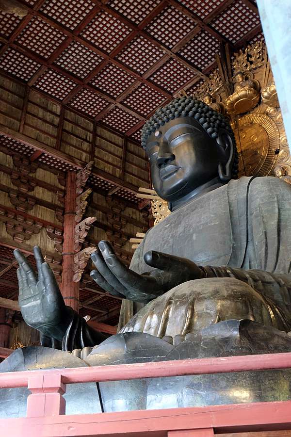 日本奈良漫遊。東大寺－阿衡野趣哪｜痞客邦