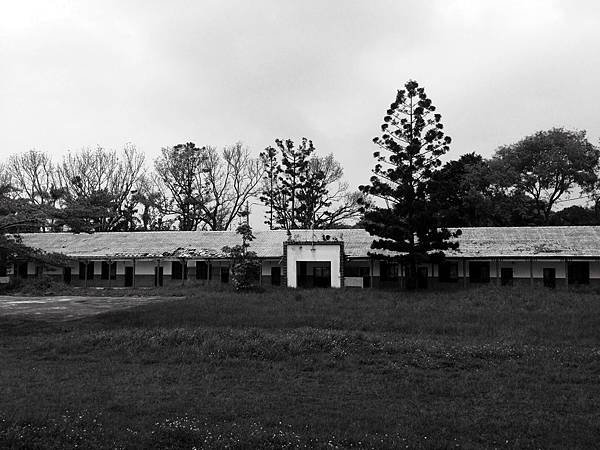 操場任荒草恣意生長 操場任荒草恣意生長