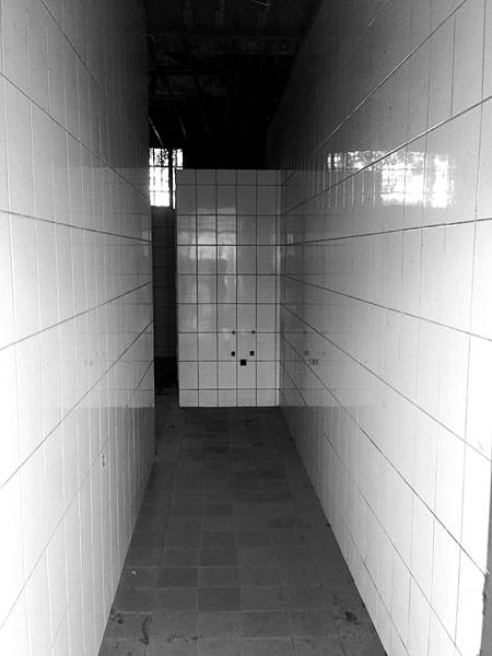 女廁長廊 女廁長廊