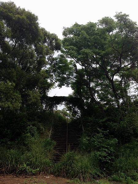 球場邊荒蕪樓梯 球場邊荒蕪樓梯