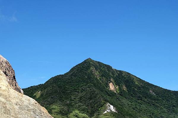 綠色龜背上的401高地