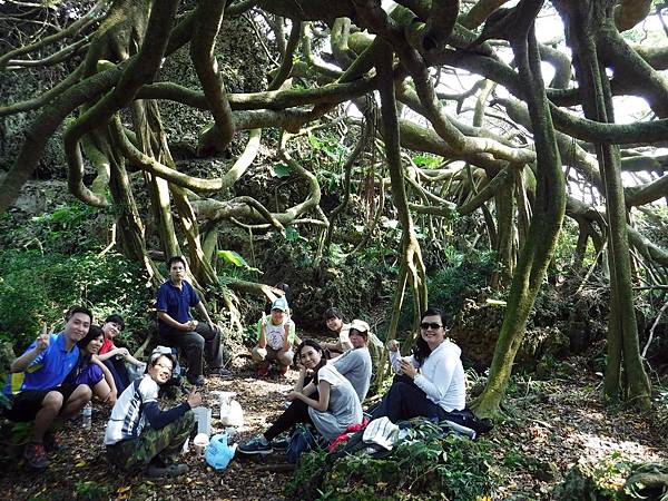 柴山探秘遇見九龍榕 柴山探秘遇見九龍榕