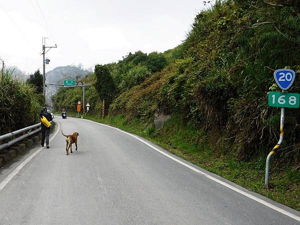 南橫公路台20線168km「摩天」