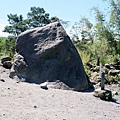 Alien Stone