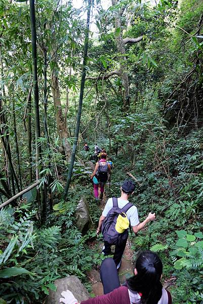 走「後山路」下山