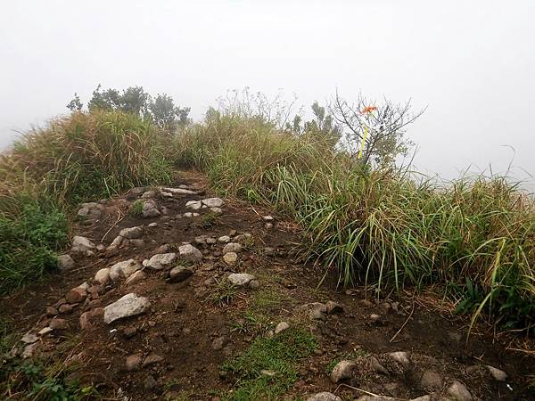 雷霆峰頂腹地