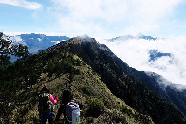 郡大山稜線風景