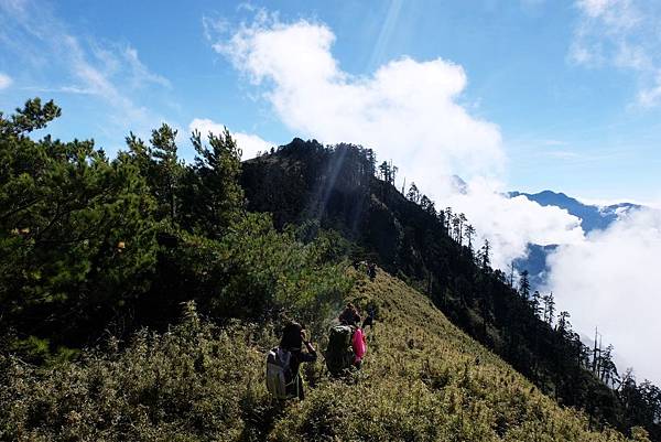 郡大山稜線風景