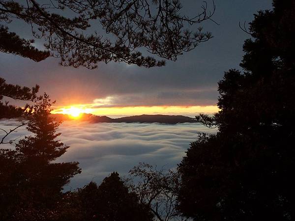 郡大林道上的夕陽雲海