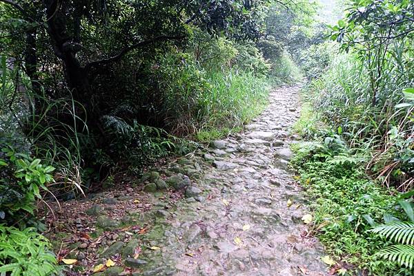 過磺溪後步道轉為上行 過磺溪後步道轉為上行