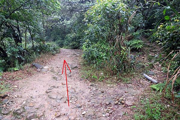 往八煙野溪溫泉方向 往八煙野溪溫泉方向