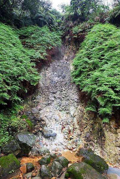 八煙野溪溫泉頭其二
