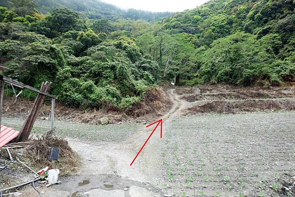 往工寮登山口方向