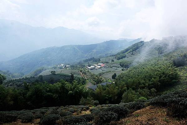 大尖山續往二尖山途中風景