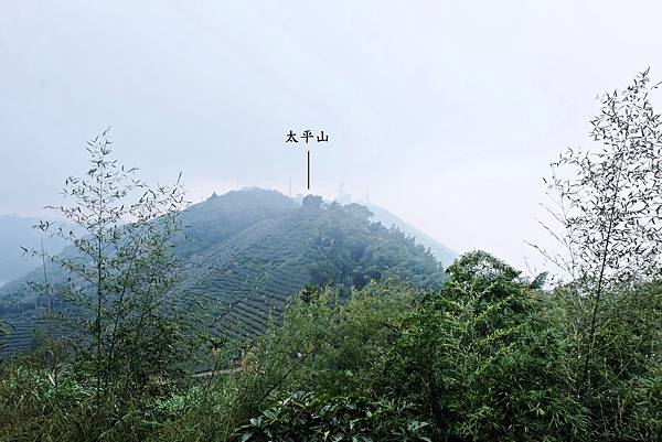 眺望太平山方向