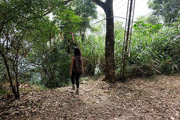 遇登山綁條進枕木步道下山