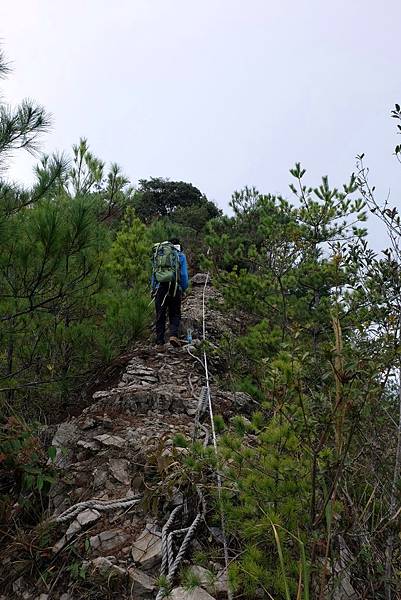 東卯山臨崖路段