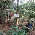 松鶴捷徑（東卯山登山步道5.2K）