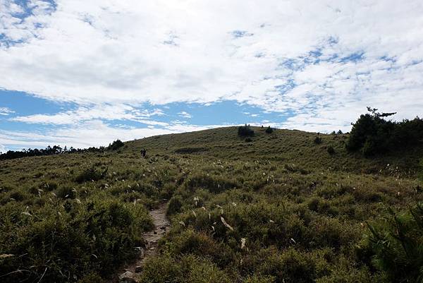 續行大草原山頭