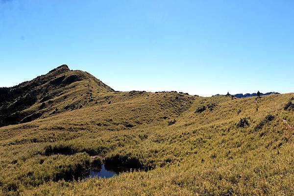 前進鈴鳴山最後一段路