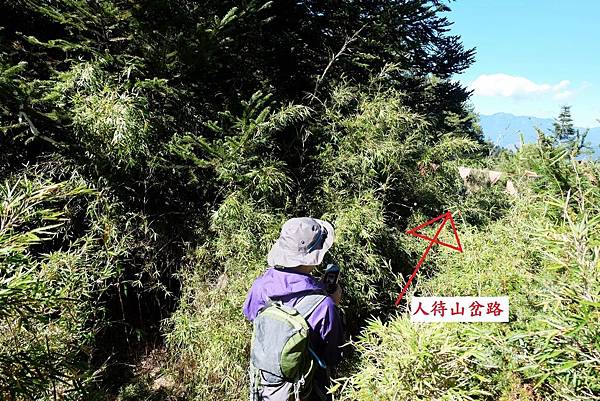 往人待山岔路入口