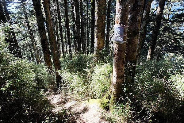 人待山北峰轉去陡下方向