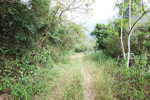 山腰路路況