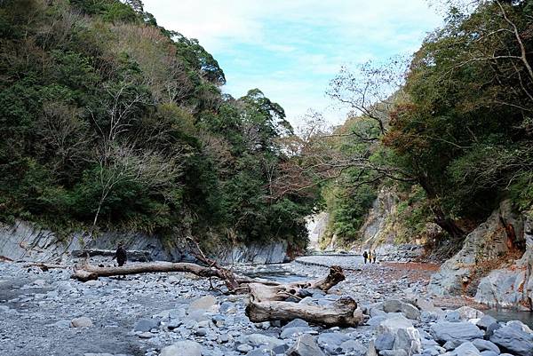 塔羅灣溪上溯風景