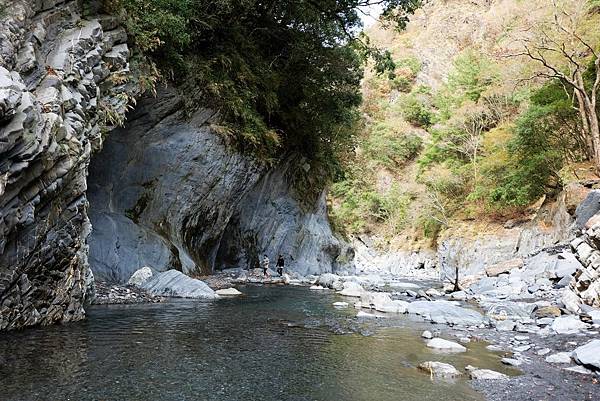 塔羅灣溪上溯風景