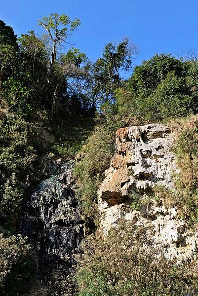 十坑野溪溫泉營地旁山壁上的溫泉露頭