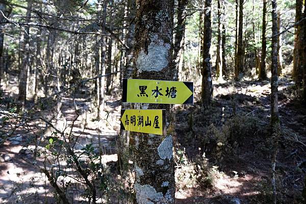 黑水塘營地（5.4K，H3130m）