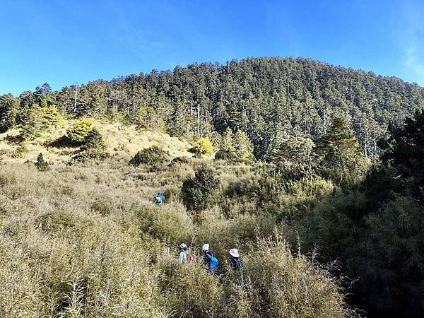 草青池（8.91K，H3190m）看白姑大山