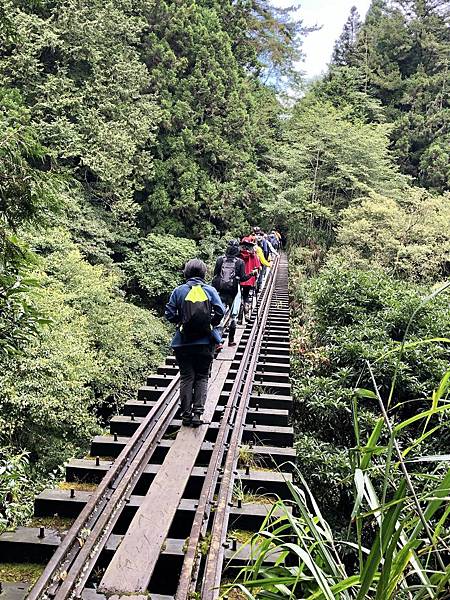 阿里山森鐵尋蹤:重返眠月線 阿里山森鐵尋蹤:重返眠月線